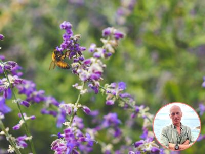 image card <p>L'impact des filières ingrédients cosmétiques sur la biodiversité&nbsp;(1/4)</p>