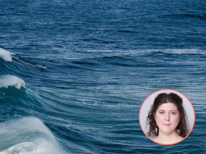 image card <p>La préservation de l’Océan : l'affaire de tous, ou pourquoi chaque organisation a son rôle à jouer</p>